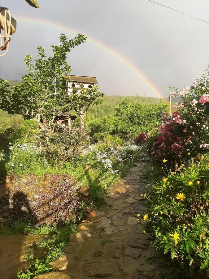 H'Mong Co Tran Sapa Homestay Exteriör bild