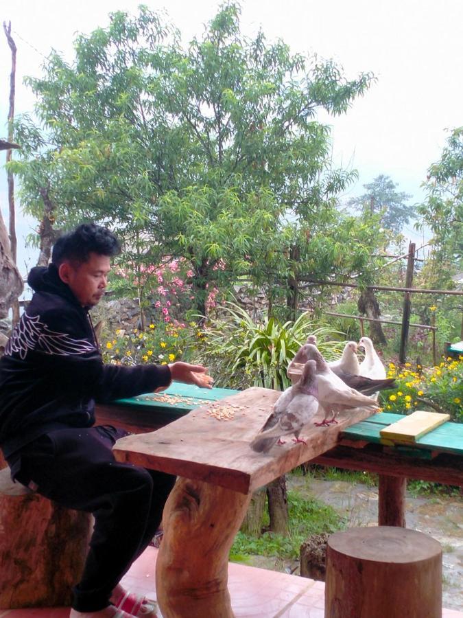 H'Mong Co Tran Sapa Homestay Exteriör bild