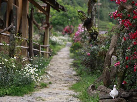 H'Mong Co Tran Sapa Homestay Exteriör bild