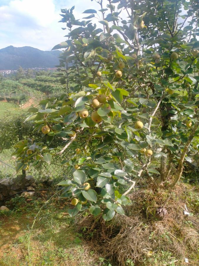 H'Mong Co Tran Sapa Homestay Exteriör bild